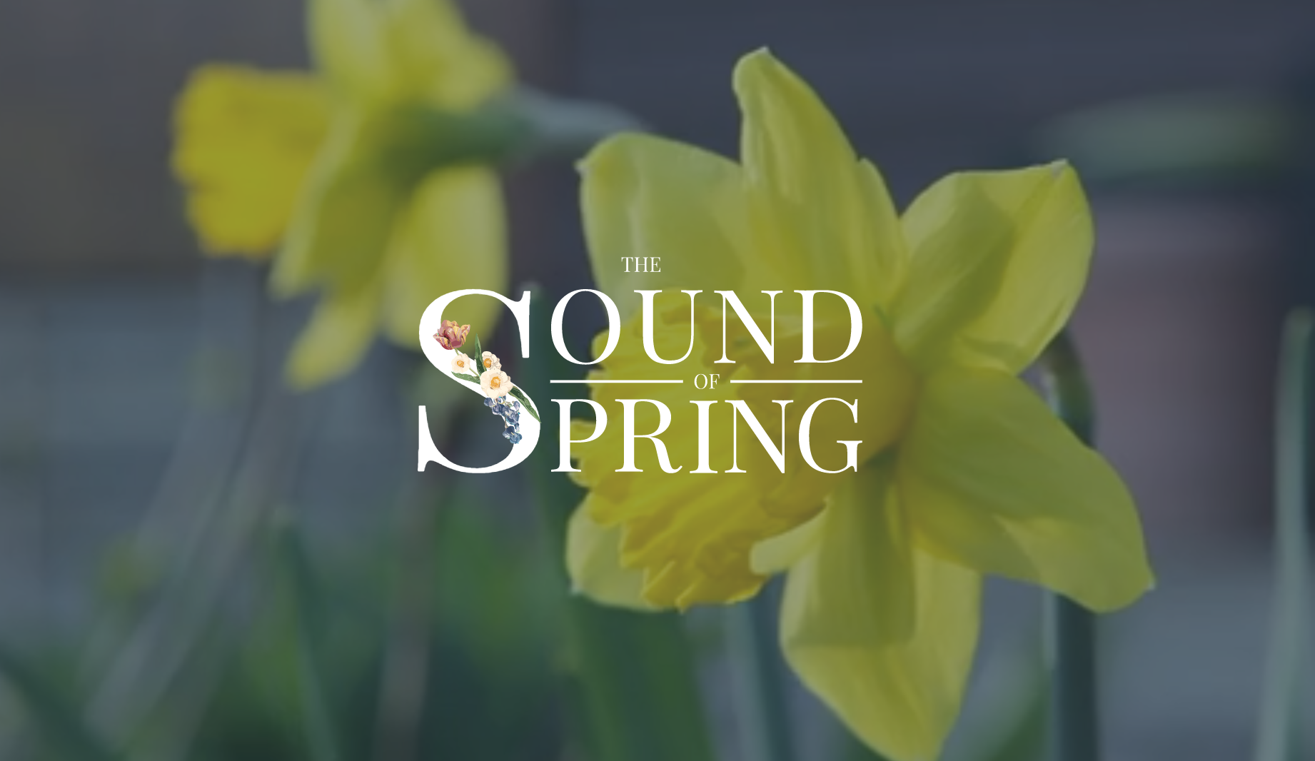 How "The Sound of Spring" came to life
